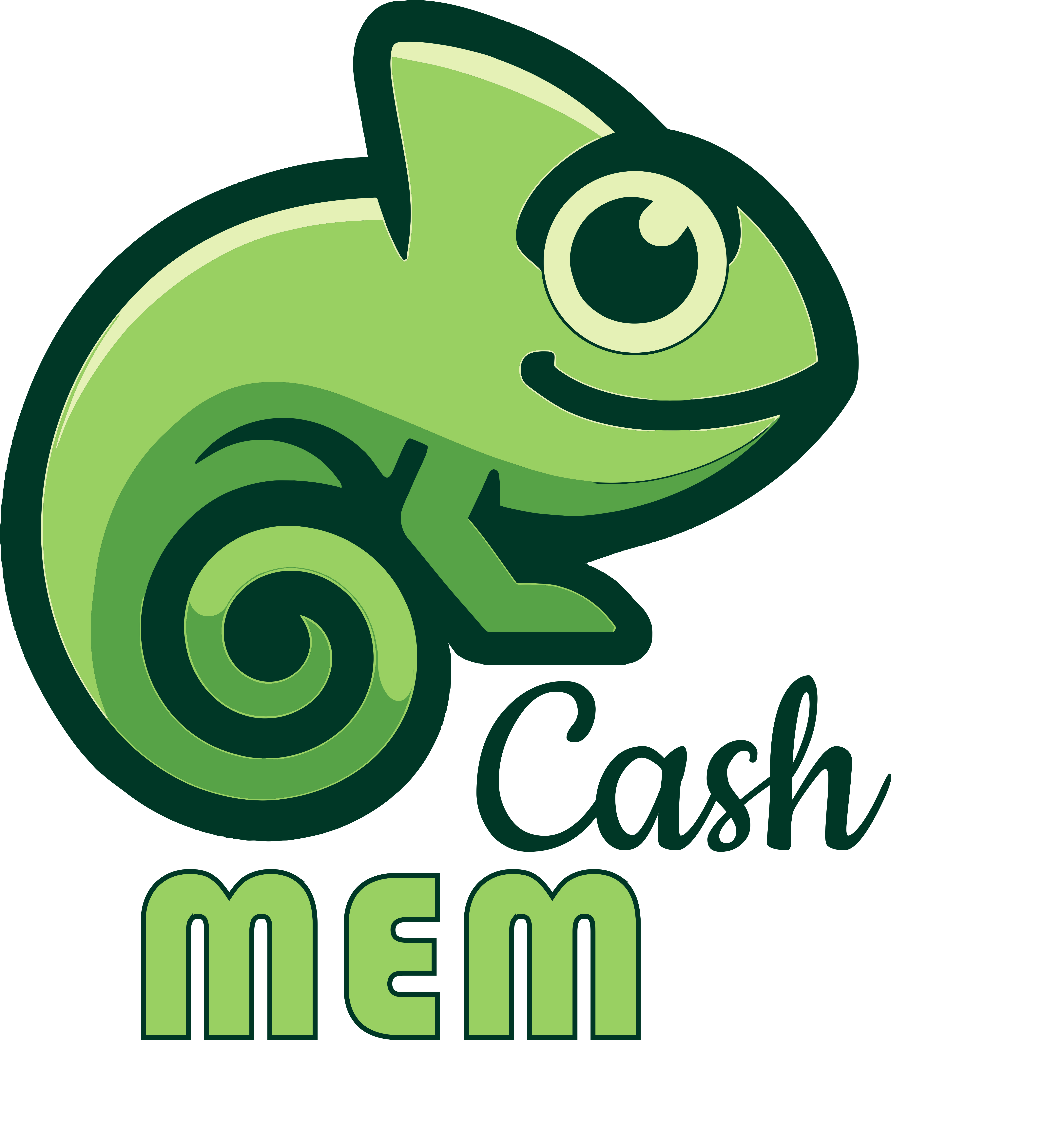 MEM Cash